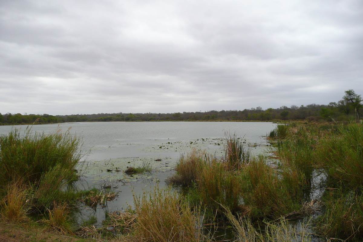รูปถ่าย แอฟริกาใต้(South Africa) อุทยานแห่งชาติครูเกอร์(Kruger National Park) แม่น้ำซาเบิล(Sable River) 2008-09 50
