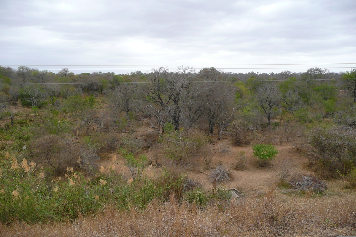 รูปถ่าย แอฟริกาใต้(South Africa) อุทยานแห่งชาติครูเกอร์(Kruger National Park) แม่น้ำซาเบิล(Sable River) 2008-09 42