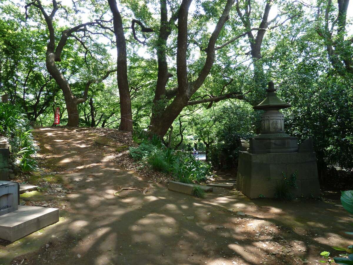 รูปถ่าย ญี่ปุ่น(Japan) โตเกียว(Tokyo) อุเอโนะ(Ueno) 2010-06 36