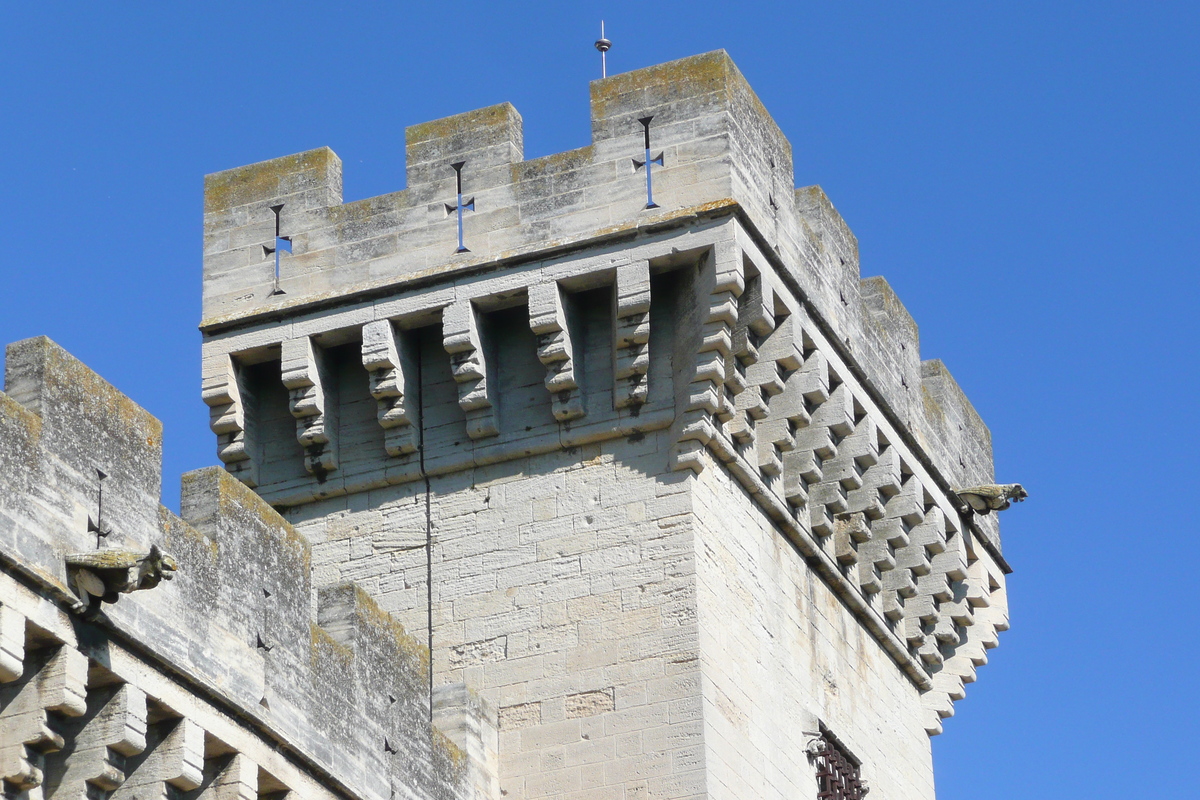 รูปถ่าย ฝรั่งเศส(France) ตาราสกง(Tarascon) ปราสาทตาราสกง(Tarascon Castle) 2008-04 100
