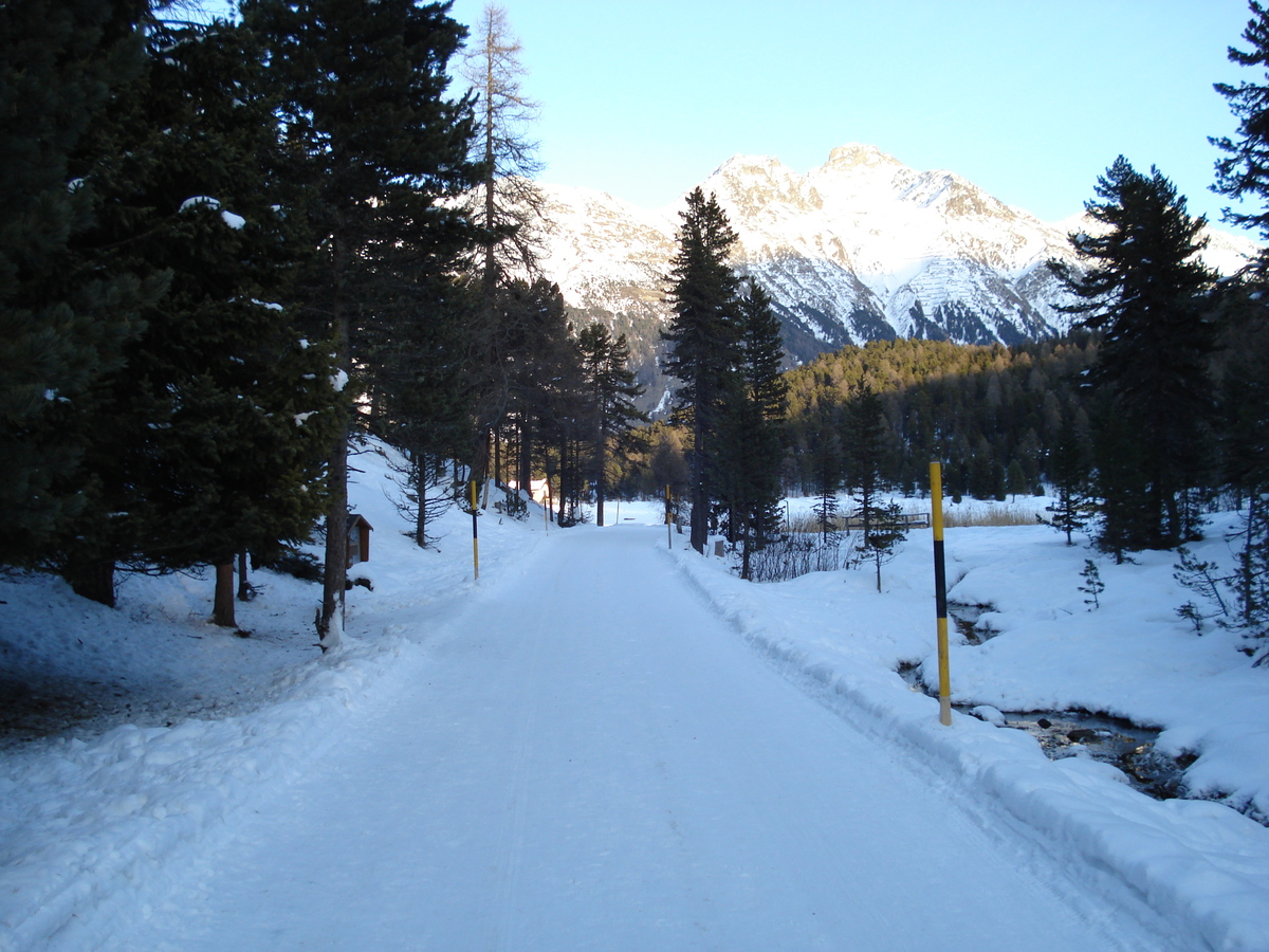 รูปถ่าย สวิสเซอร์แลนด์(Switzerland) เซนต์มอริตซ์ ชลาริญญา(St Moritz Schlarigna) 2007-01 69