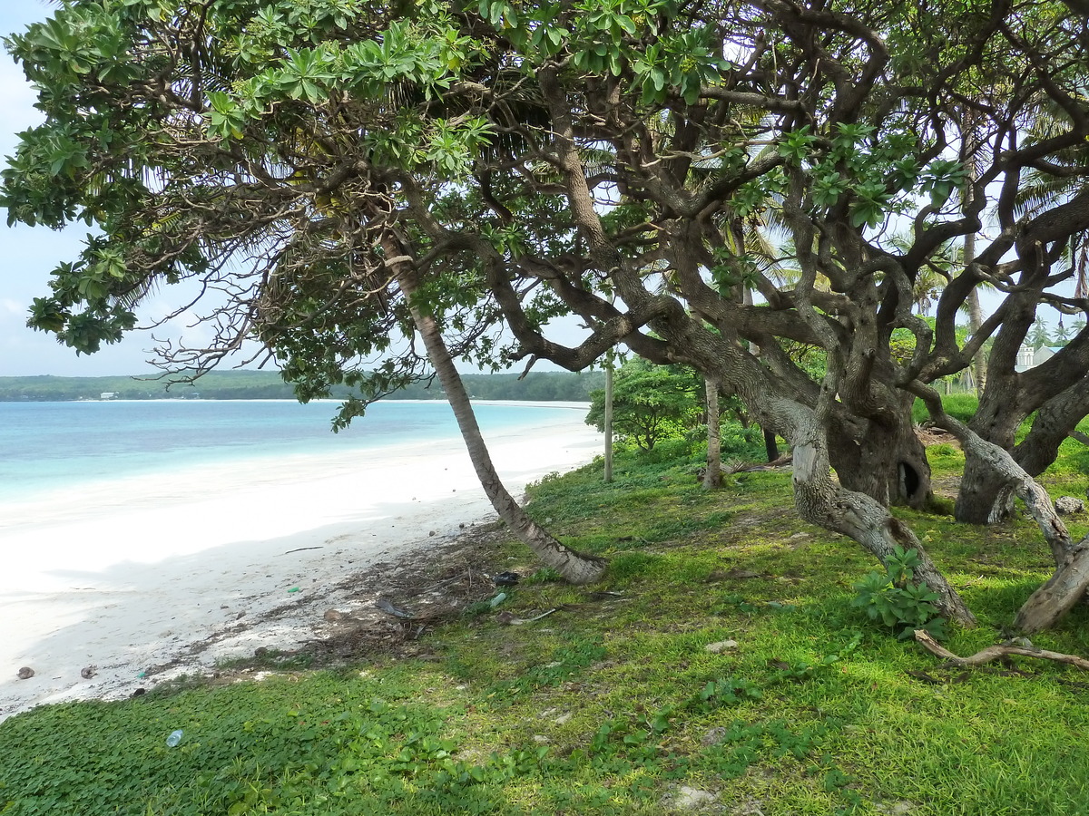รูปถ่าย นิวแคลิโดเนีย(New Caledonia) เกาะลีฟู(Lifou) ลูเอซิลลา(Luecilla) 2010-05 39