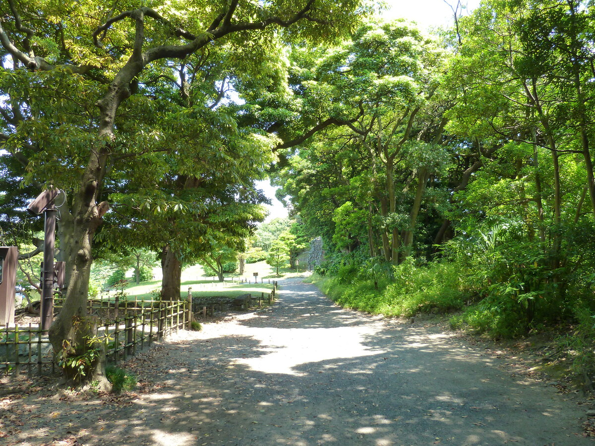 รูปถ่าย ญี่ปุ่น(Japan) โตเกียว(Tokyo) สวนฮามะริคิว(Hama rikyu Gardens) 2010-06 118