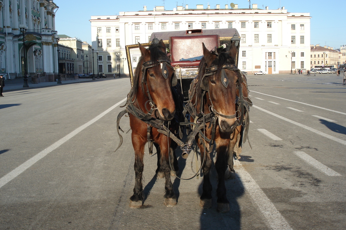 รูปถ่าย รัสเซีย(Russia) เซนต์ปีเตอร์สเบิร์ก(St Petersburg) เฮอมิตาท(Hermitage) 2006-03 26
