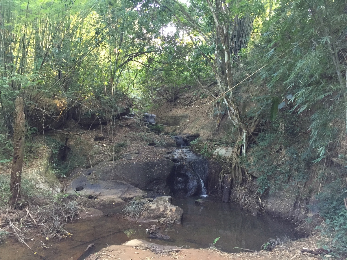 รูปถ่าย ไทย(Thailand) อุทยานแห่งชาติภูหินร่องกล้า(Phu Hin Rong Kla National Park) 2014-12 225