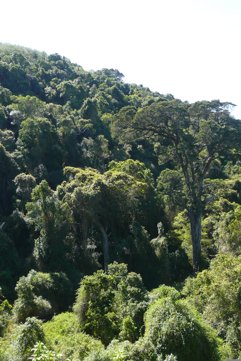 รูปถ่าย แอฟริกาใต้(South Africa) หุบเขาเนเจอร์ส(Nature's Valley) 2008-09 36
