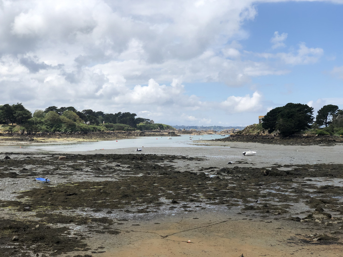 รูปถ่าย ฝรั่งเศส(France) เกาะเบรอา(Brehat Island) 2020-06 220