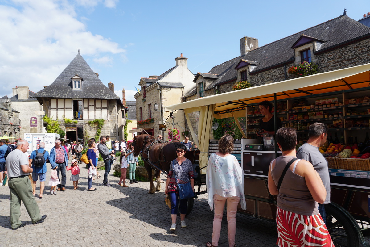 รูปถ่าย ฝรั่งเศส(France) รอชฟอร์-อ็อง-แตร์(Rochefort en terre) 2017-08 33