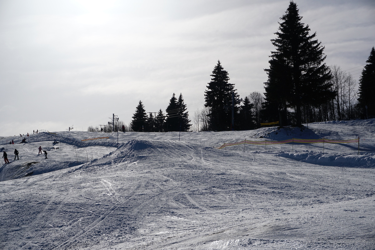 รูปถ่าย ฝรั่งเศส(France) เมแฌฟว์(Megeve) 2017-02 142