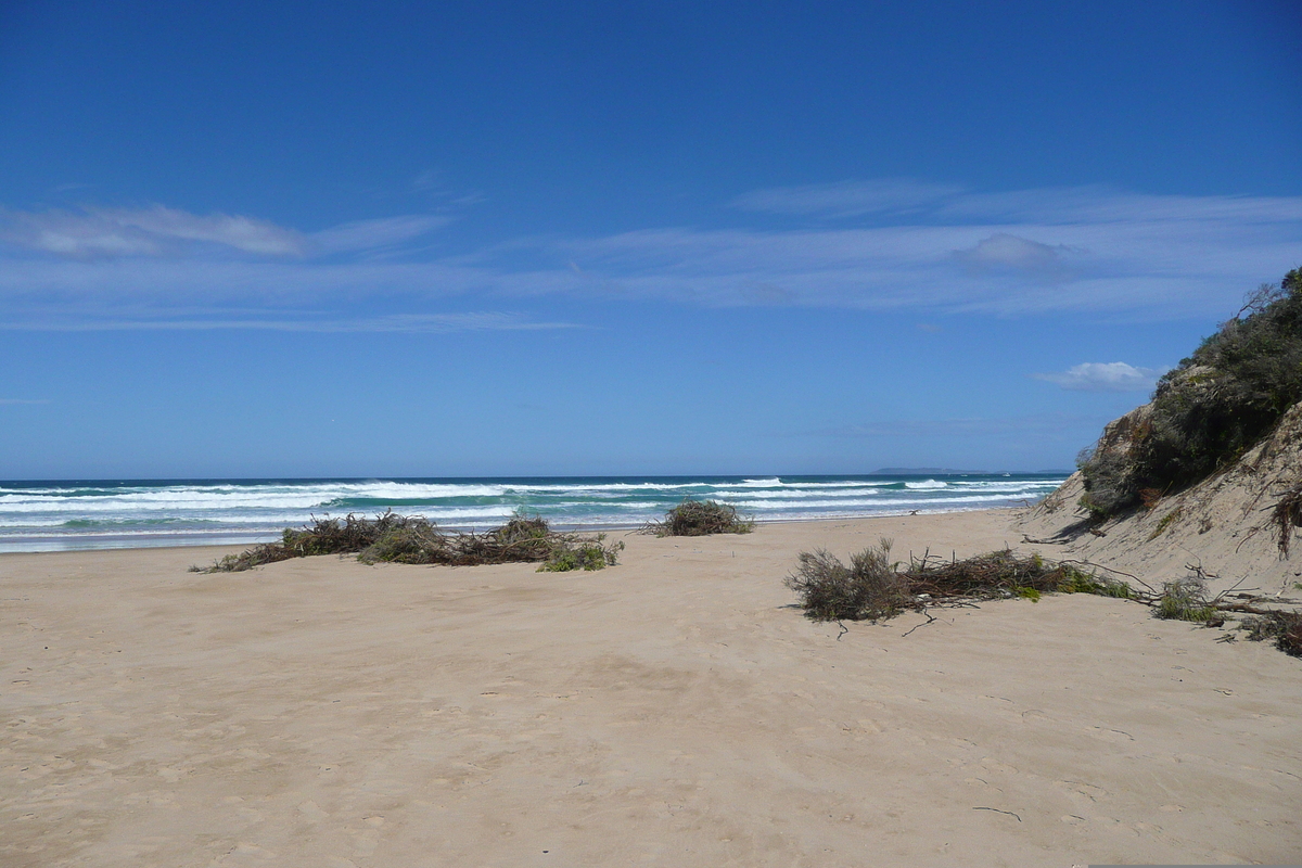 รูปถ่าย แอฟริกาใต้(South Africa) หุบเขาเนเจอร์ส(Nature's Valley) 2008-09 21