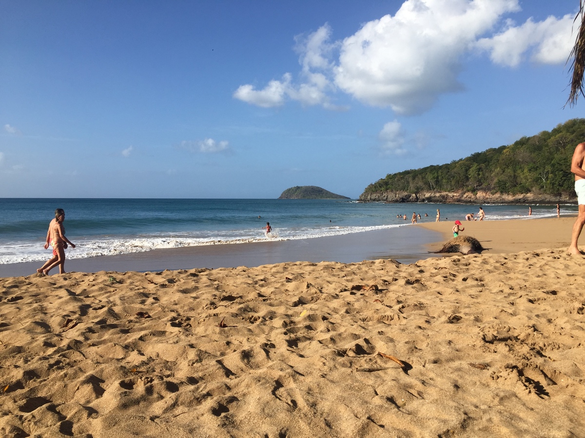 รูปถ่าย กวาเดอลูป(Guadeloupe) หาดลาแปร์ล(La Perle Beach) 2021-02 12