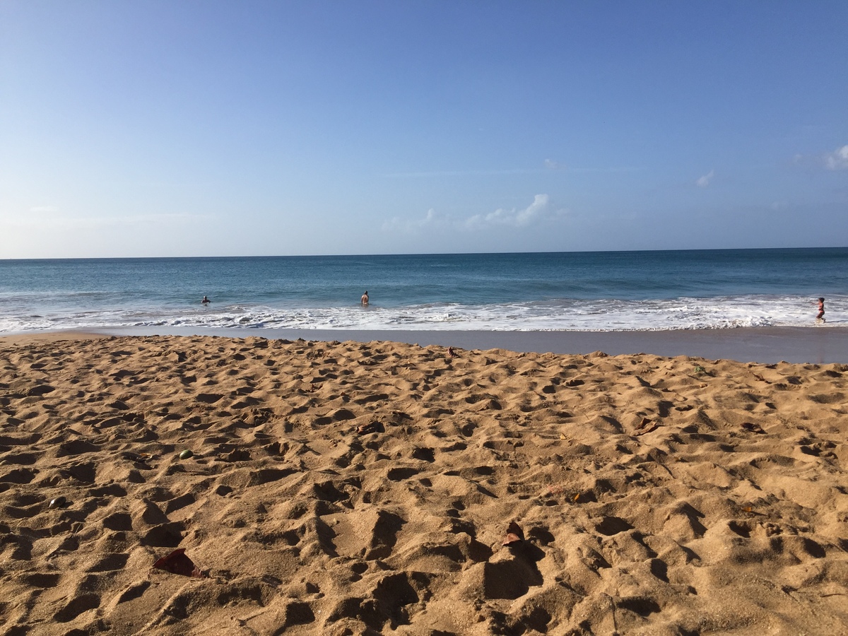 รูปถ่าย กวาเดอลูป(Guadeloupe) หาดลาแปร์ล(La Perle Beach) 2021-02 4