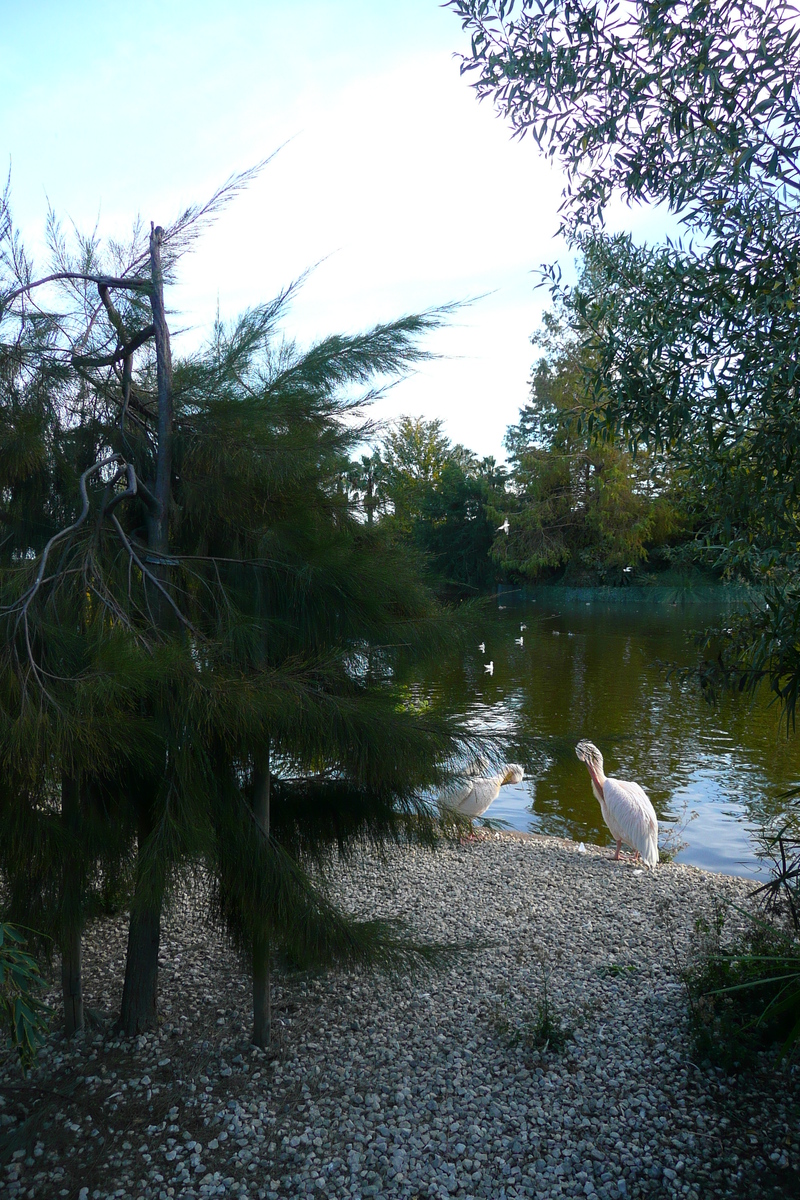 รูปถ่าย ฝรั่งเศส(France) นีส(Nice) สวนฟีนิกซ์(Phoenix Parc) 2007-10 58