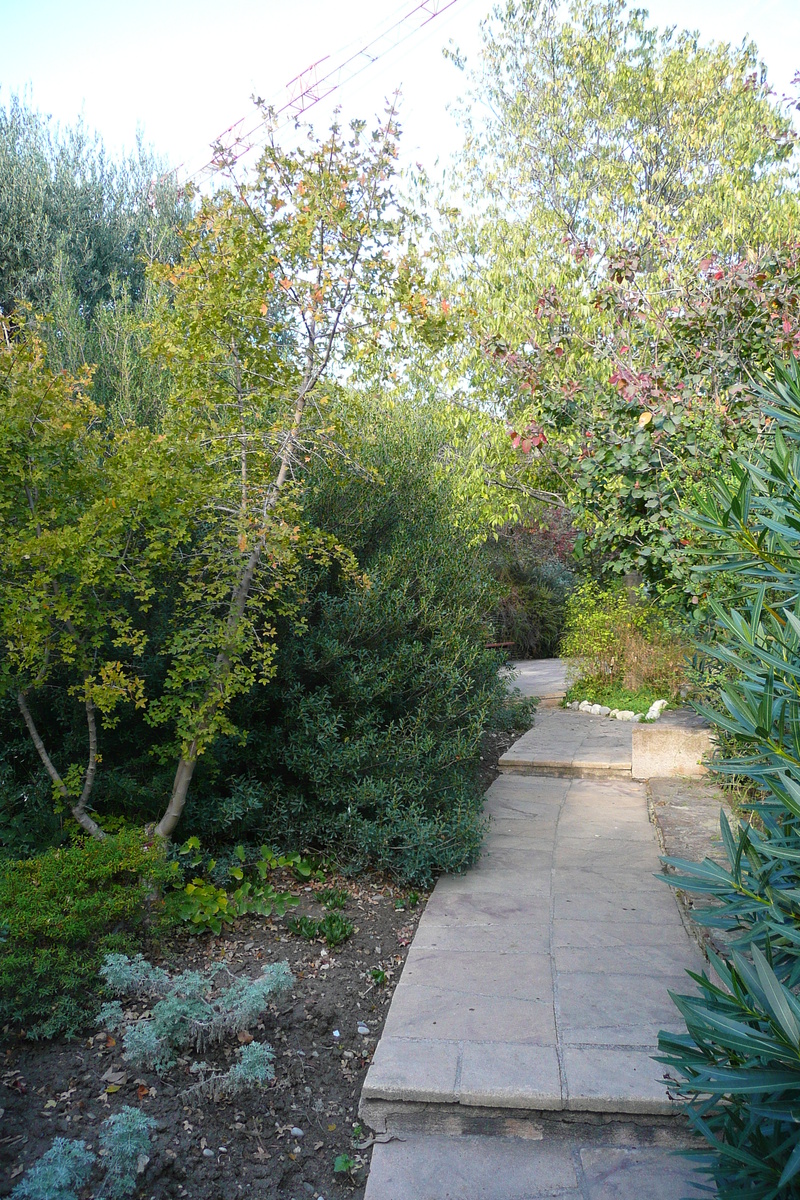 รูปถ่าย ฝรั่งเศส(France) นีส(Nice) สวนฟีนิกซ์(Phoenix Parc) 2007-10 59