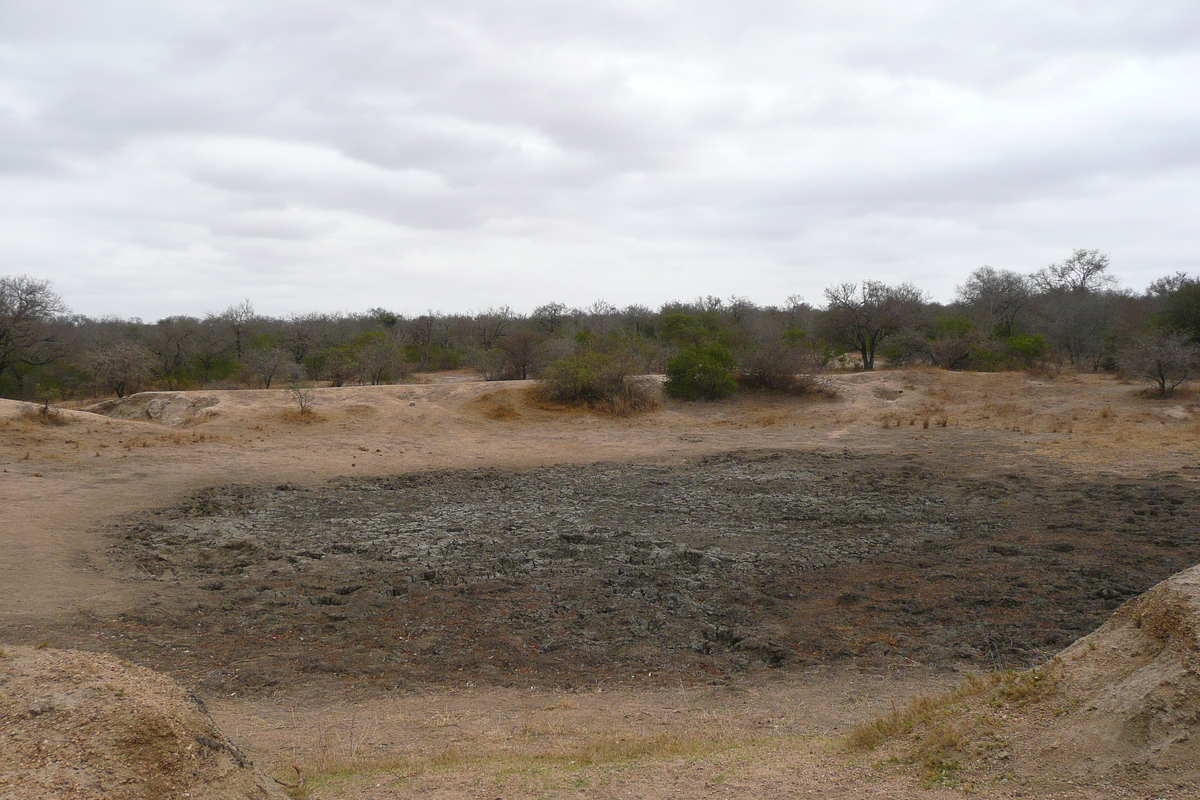 รูปถ่าย แอฟริกาใต้(South Africa) อุทยานแห่งชาติครูเกอร์(Kruger National Park) 2008-09 63