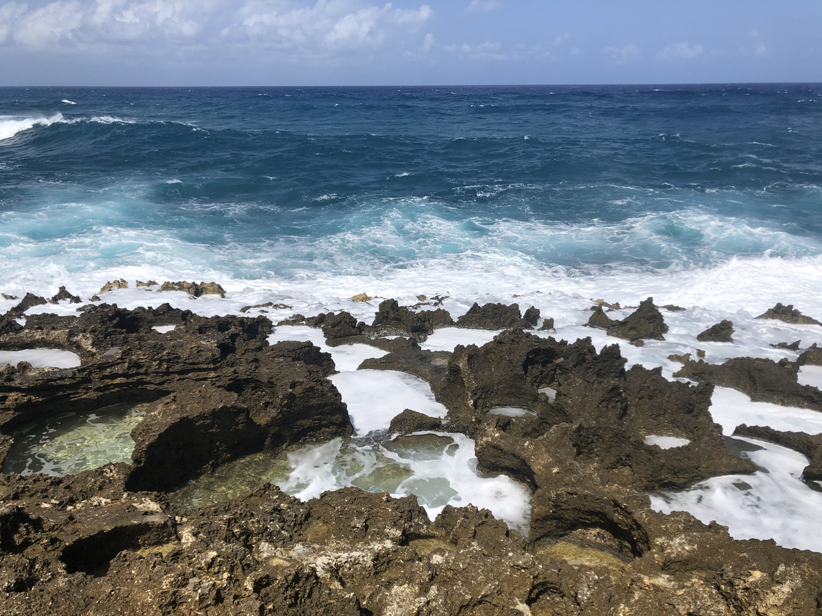 รูปถ่าย กวาเดอลูป(Guadeloupe) แหลมคาสเซิลพอยต์(Castle Point) 2021-02 287