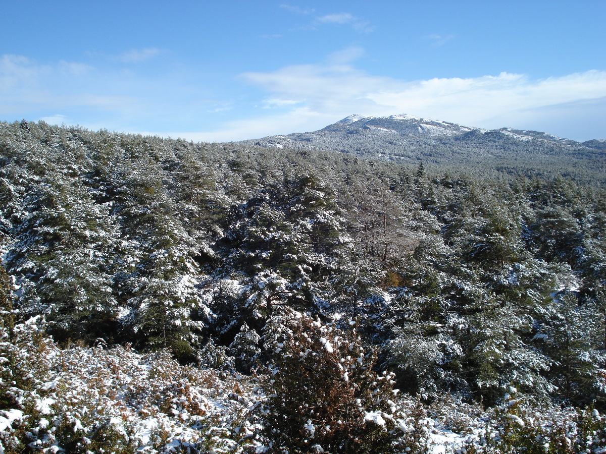 รูปถ่าย ฝรั่งเศส(France) ถนนจากกูร์เซกูลไปเกรโอลีแยร์-เล-เนจ(Coursegoule to Greolieres les neiges road) 2007-01 105