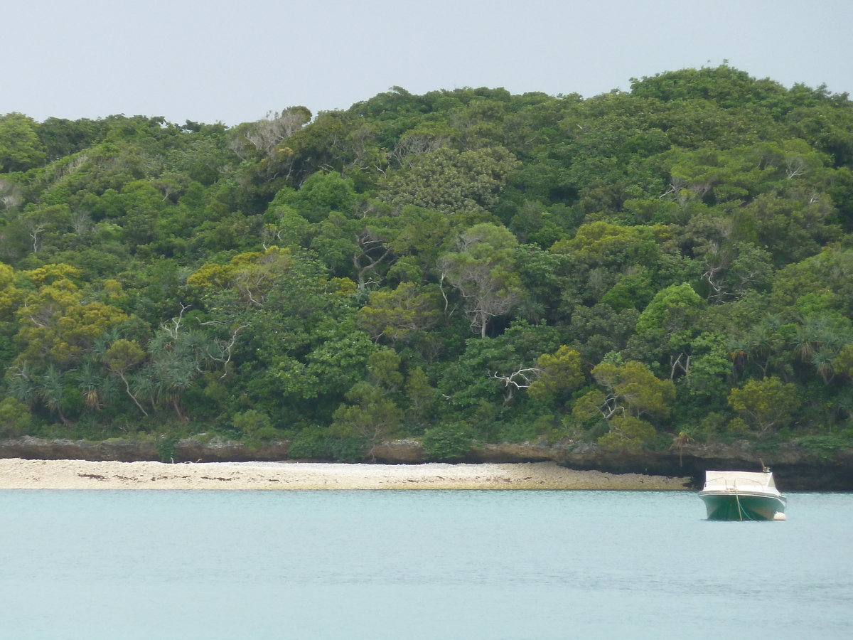 รูปถ่าย นิวแคลิโดเนีย(New Caledonia) เกาะต้นสน(Ile des pins) หาดคูโต(Kuto Beach) 2010-05 41