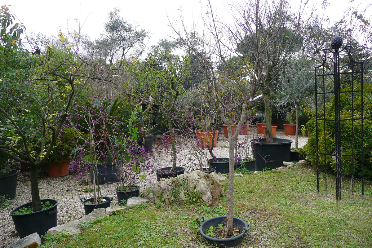 รูปถ่าย อิตาลี(Italy) โรม(Rome) ปงเตฟิเช(Pontefice) 2007-11 0