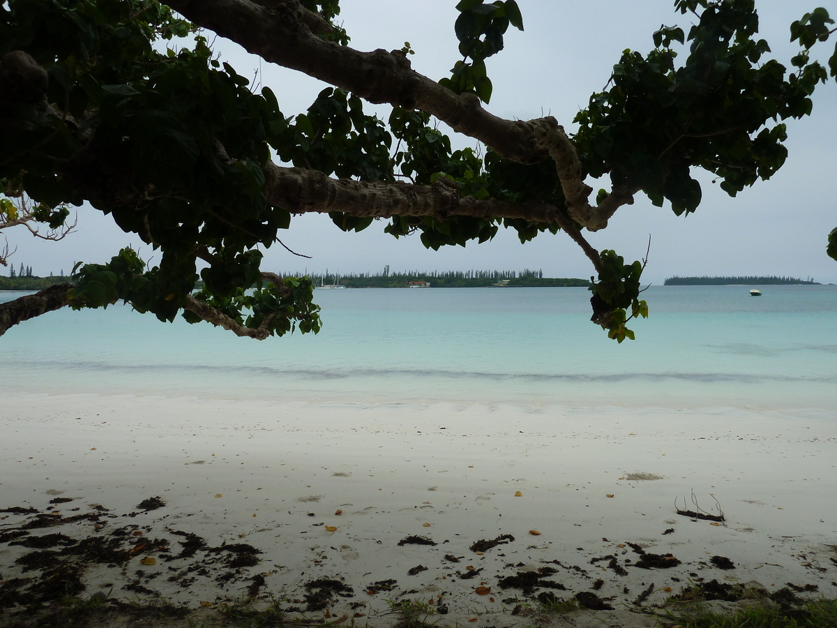 รูปถ่าย นิวแคลิโดเนีย(New Caledonia) เกาะต้นสน(Ile des pins) หาดคูโต(Kuto Beach) 2010-05 1