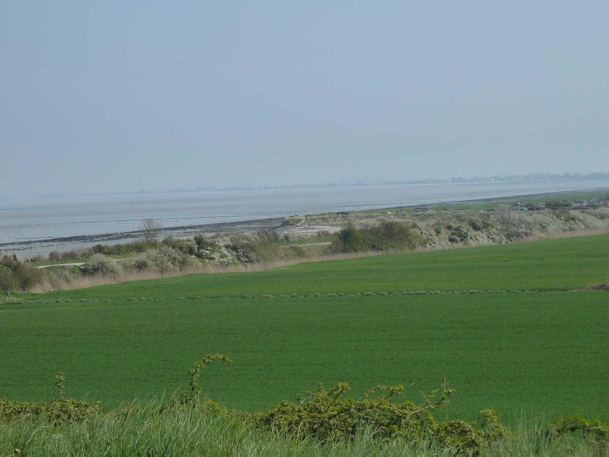 รูปถ่าย ฝรั่งเศส(France) ก็องกาล(Cancale) 2010-04 89