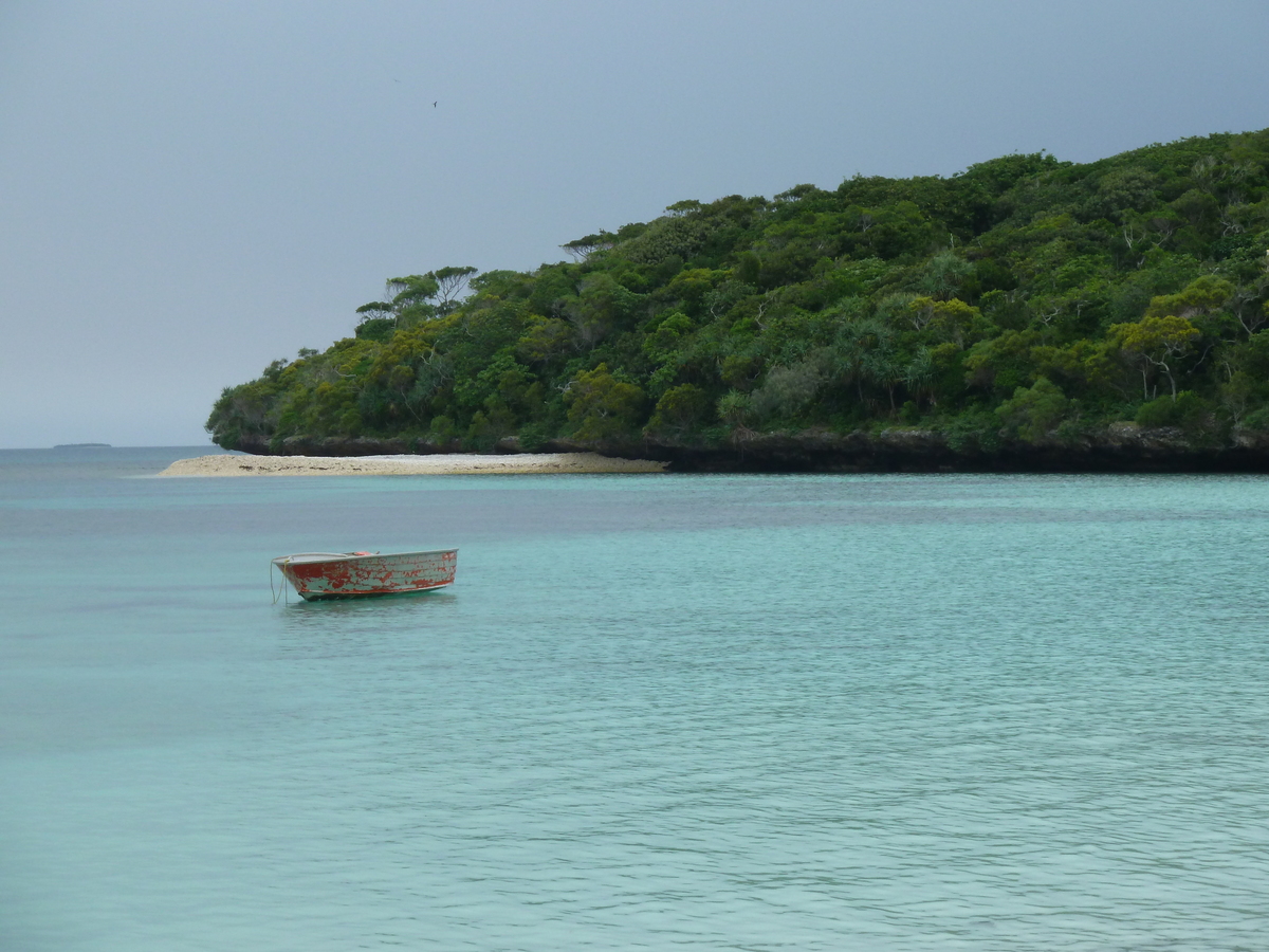 รูปถ่าย นิวแคลิโดเนีย(New Caledonia) 2010-05 57