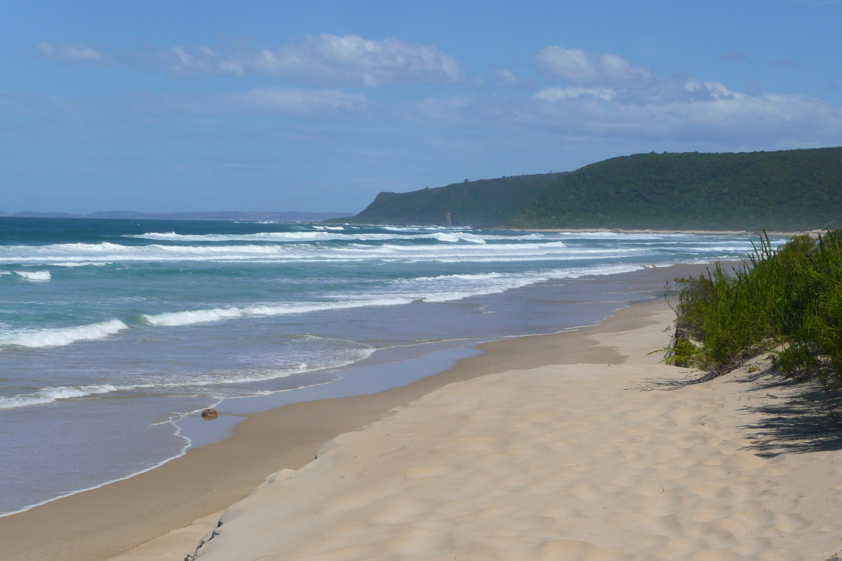 รูปถ่าย แอฟริกาใต้(South Africa) หุบเขาเนเจอร์ส(Nature's Valley) 2008-09 64