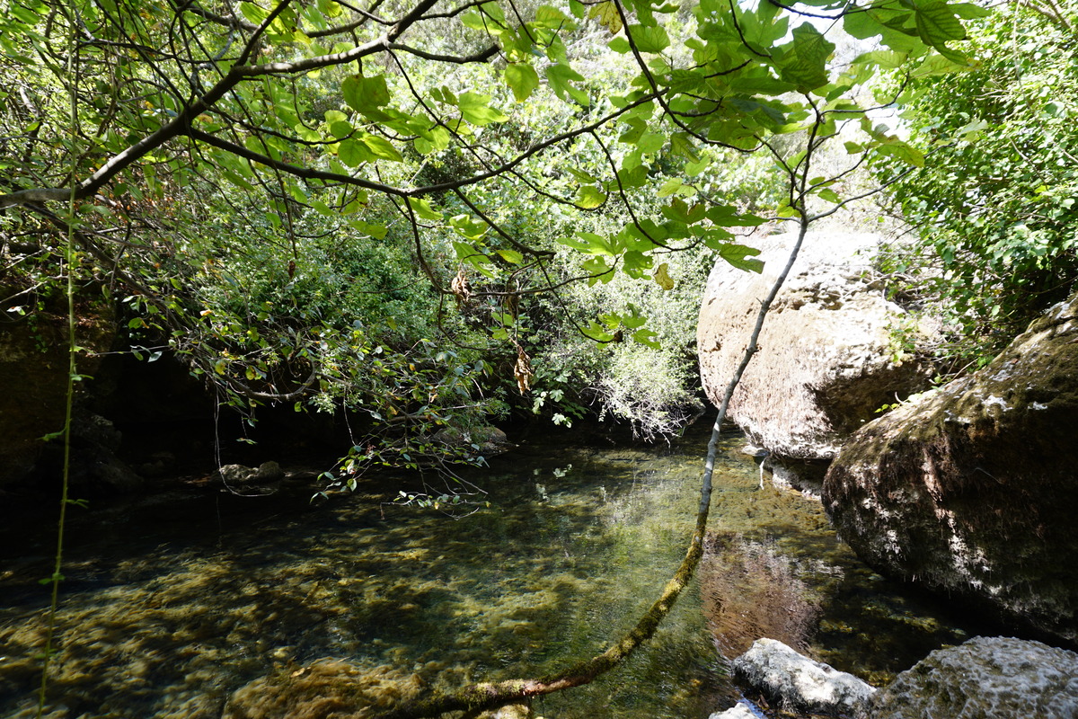 รูปถ่าย ฝรั่งเศส(France) ฟงแตน-เดอ-โวกลูซ(Fontaine-de-Vaucluse) 2017-08 62