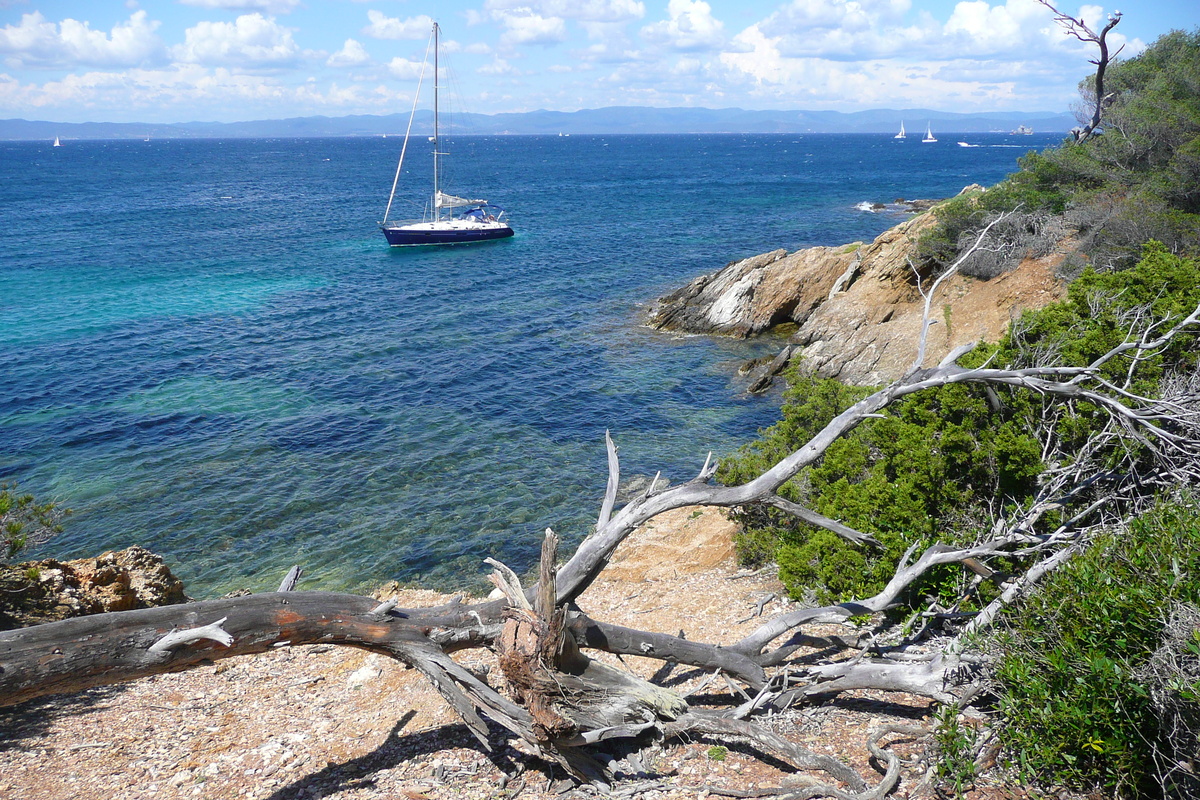 รูปถ่าย ฝรั่งเศส(France) เกาะปอร์เกอรอล(Porquerolles Island) แหลมเลอแก็ง(Pointe du Lequin) 2008-05 10