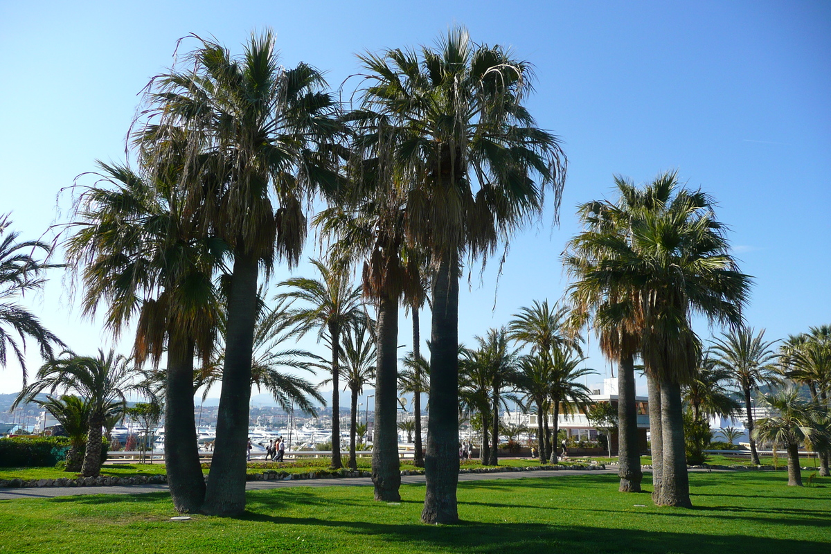 รูปถ่าย ฝรั่งเศส(France) คานส์(Cannes) ท่าเรือปีแยร์ก็องโต(Port Pierre Canto) 2008-05 50
