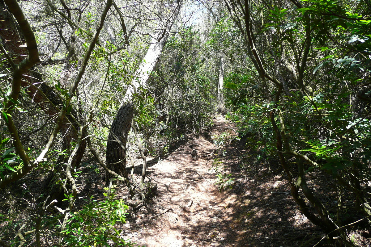 รูปถ่าย ฝรั่งเศส(France) เกาะปอร์เกอรอล(Porquerolles Island) แหลมเลอแก็ง(Pointe du Lequin) 2008-05 31