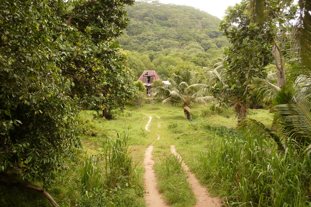 รูปถ่าย เซเชลส์(Seychelles) เกาะลาดีก(La Digue) 2011-10 29