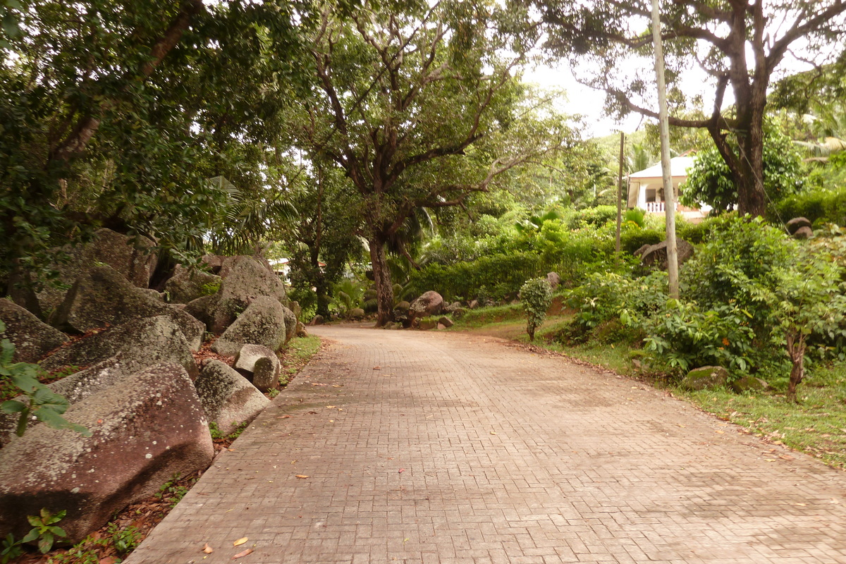 รูปถ่าย เซเชลส์(Seychelles) เกาะลาดีก(La Digue) 2011-10 1