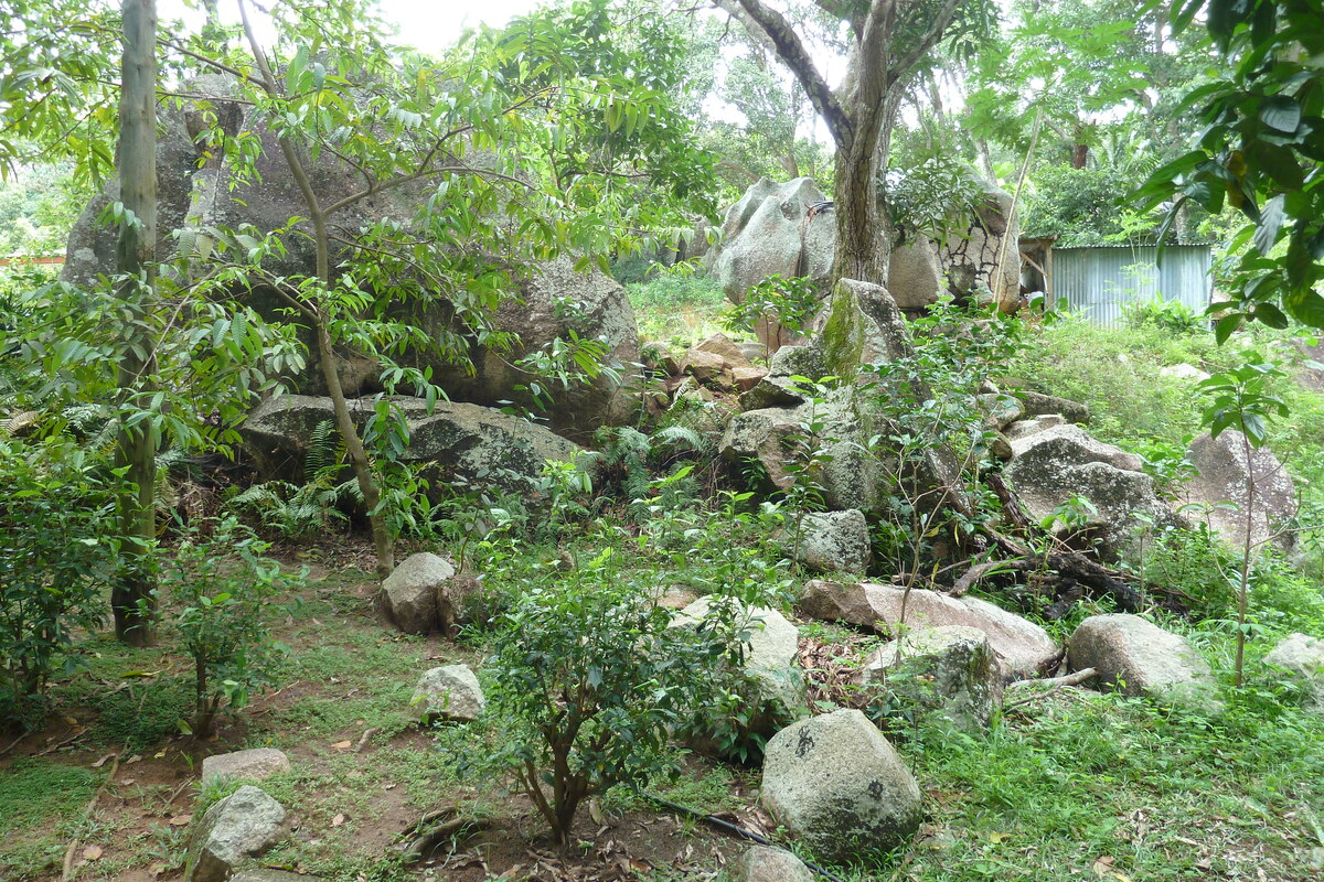 รูปถ่าย เซเชลส์(Seychelles) เกาะลาดีก(La Digue) 2011-10 253