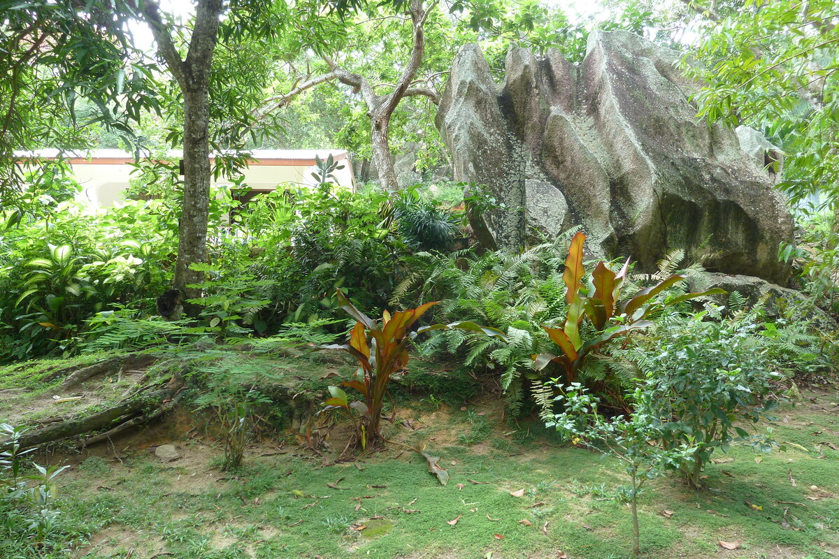รูปถ่าย เซเชลส์(Seychelles) เกาะลาดีก(La Digue) 2011-10 233