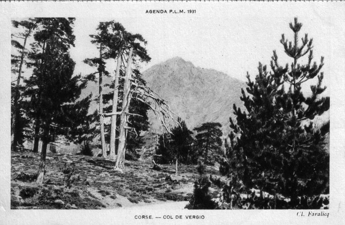 รูปถ่าย ฝรั่งเศส(France) คอร์สิคา(Corsica) โปสการ์ดเก่า(Old Postcards) 1900-01 111