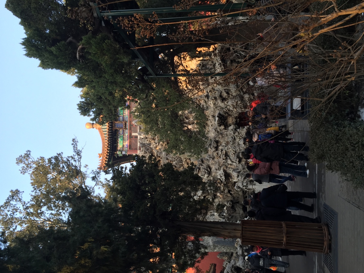 รูปถ่าย จีน(China) ปักกิ่ง(Beijing) พระราชวังต้องห้าม(Forbidden City) 2015-12 181