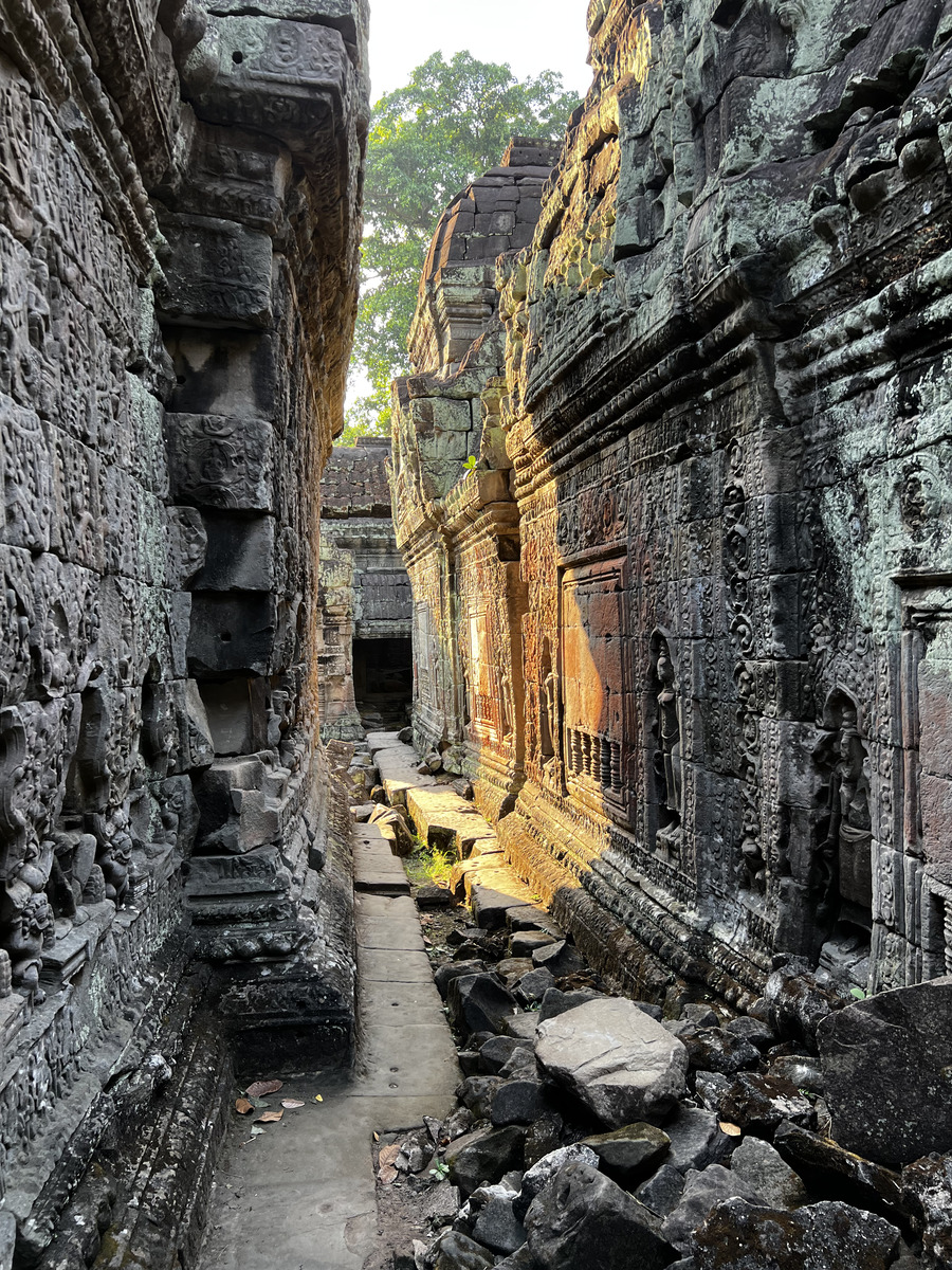 รูปถ่าย กัมพูชา(Cambodia) เสียมราฐ(Siem Reap) ปราสาทพระขรรค์(Preah Khan) 2023-01 69