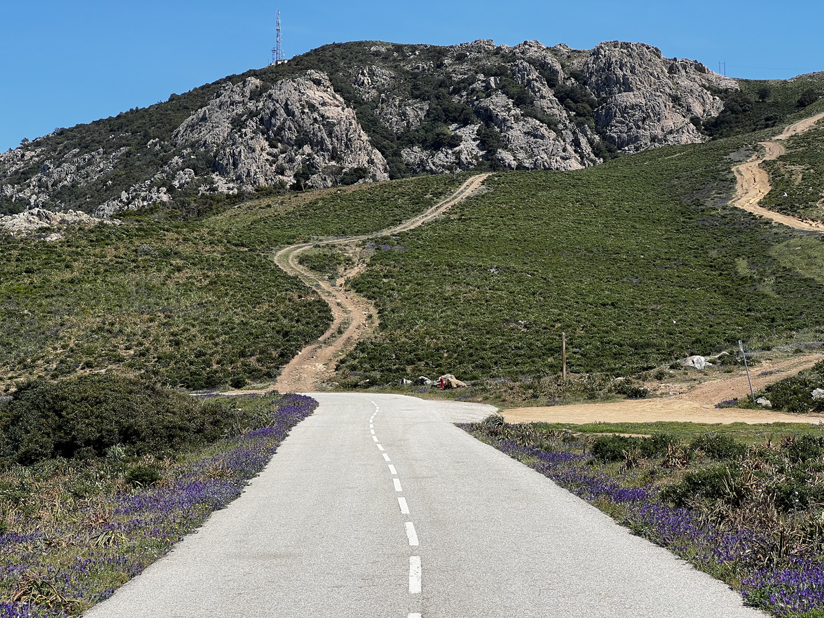 รูปถ่าย ฝรั่งเศส(France) คอร์สิคา(Corsica) แหลมกาโปรอสโซ(Capo Rosso) 2023-05 2