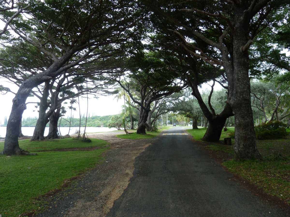 รูปถ่าย นิวแคลิโดเนีย(New Caledonia) เกาะต้นสน(Ile des pins) หาดคูโต(Kuto Beach) 2010-05 47