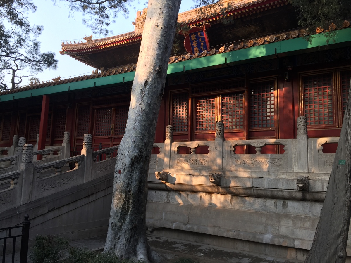 รูปถ่าย จีน(China) ปักกิ่ง(Beijing) พระราชวังต้องห้าม(Forbidden City) 2015-12 170