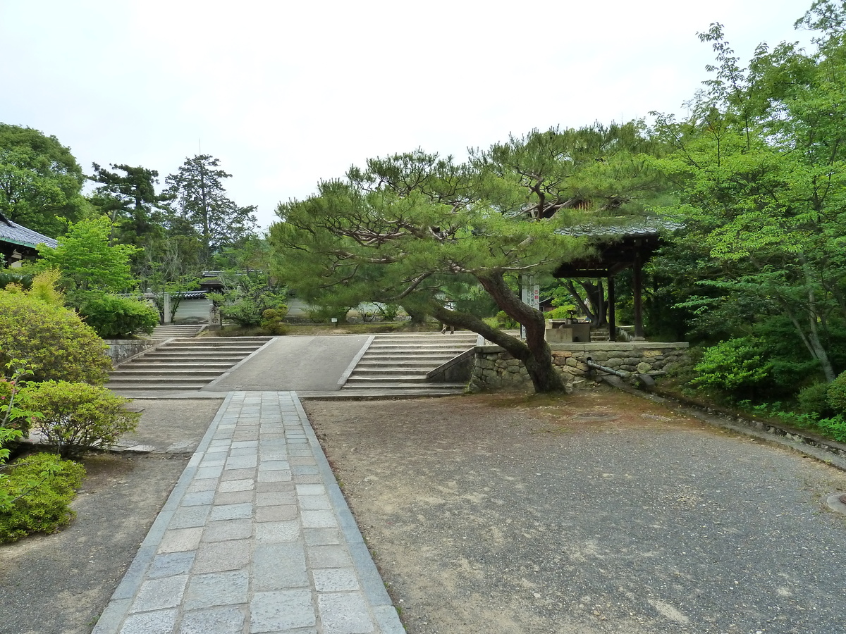 รูปถ่าย ญี่ปุ่น(Japan) เกียวโต(Kyoto) วัดนินนะจิ(Ninna ji Temple) 2010-06 39