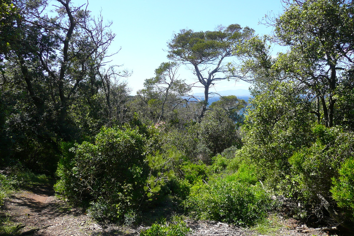 รูปถ่าย ฝรั่งเศส(France) เกาะปอร์เกอรอล(Porquerolles Island) แหลมเลอแก็ง(Pointe du Lequin) 2008-05 30