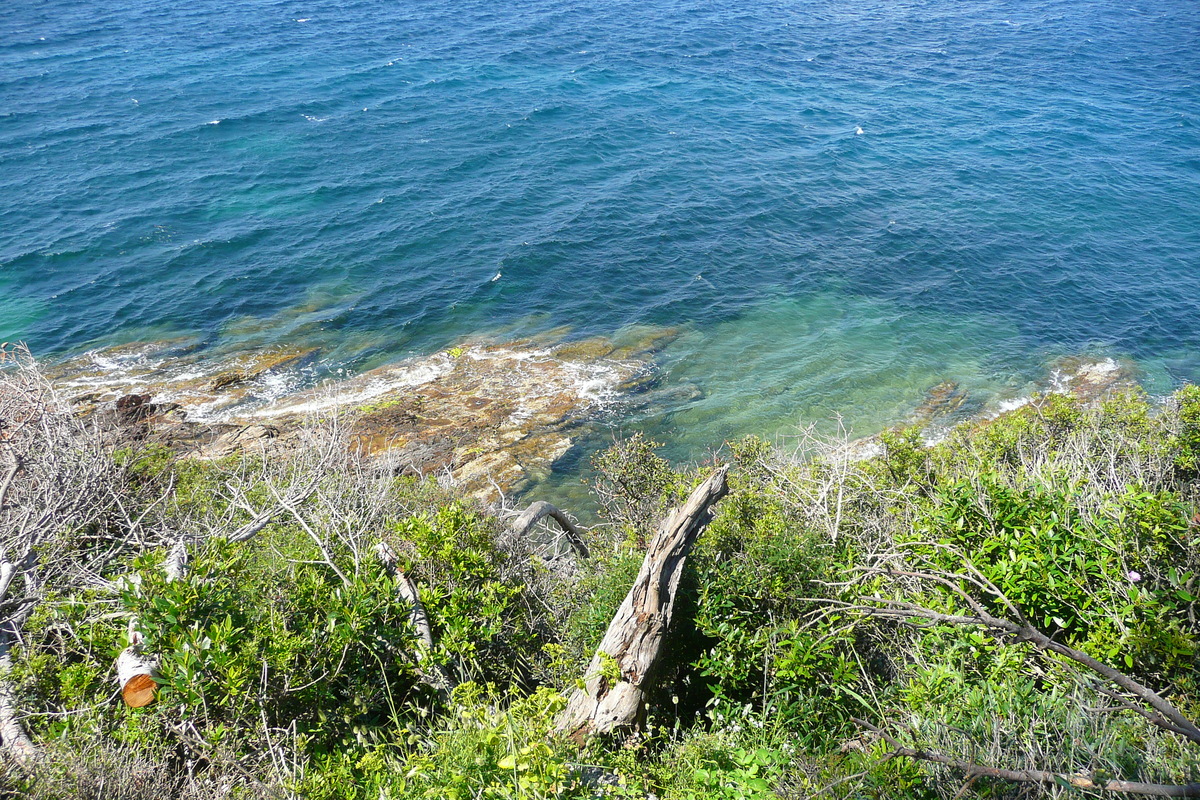 รูปถ่าย ฝรั่งเศส(France) เกาะปอร์เกอรอล(Porquerolles Island) แหลมเลอแก็ง(Pointe du Lequin) 2008-05 53