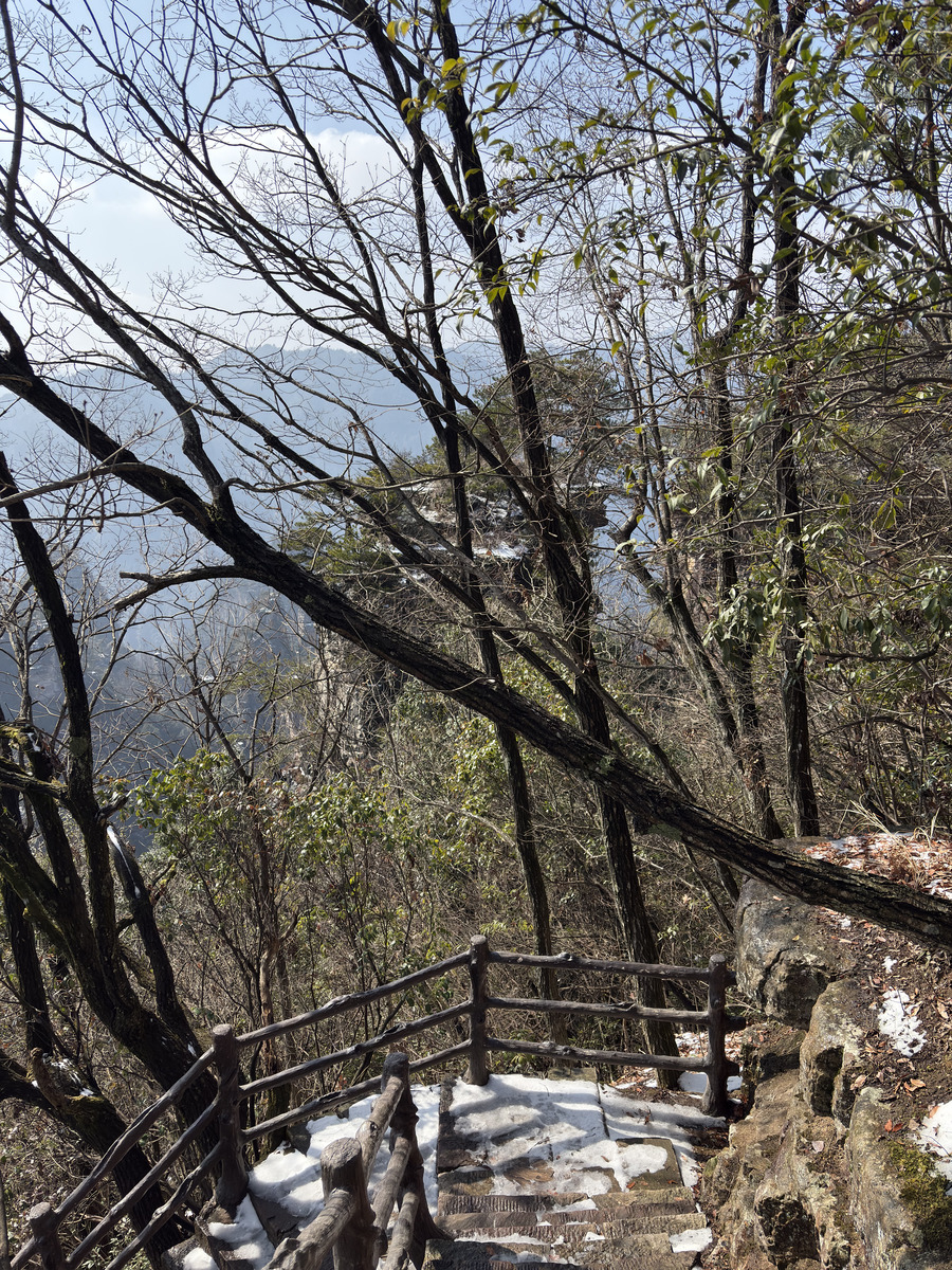 รูปถ่าย จีน(China) จางเจียเจี้ย(Zhangjiajie) ภูเขาเทียนจื่อ(Tianzi Mountain) 2026-01 189