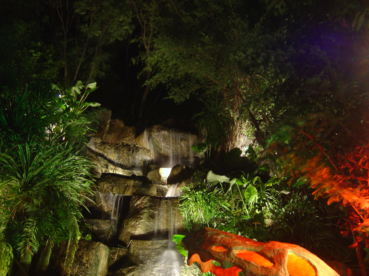 รูปถ่าย ไทย(Thailand) ภูเก็ต(Phuket) ไดโนบาร์(Dino Bar) 2005-12 1