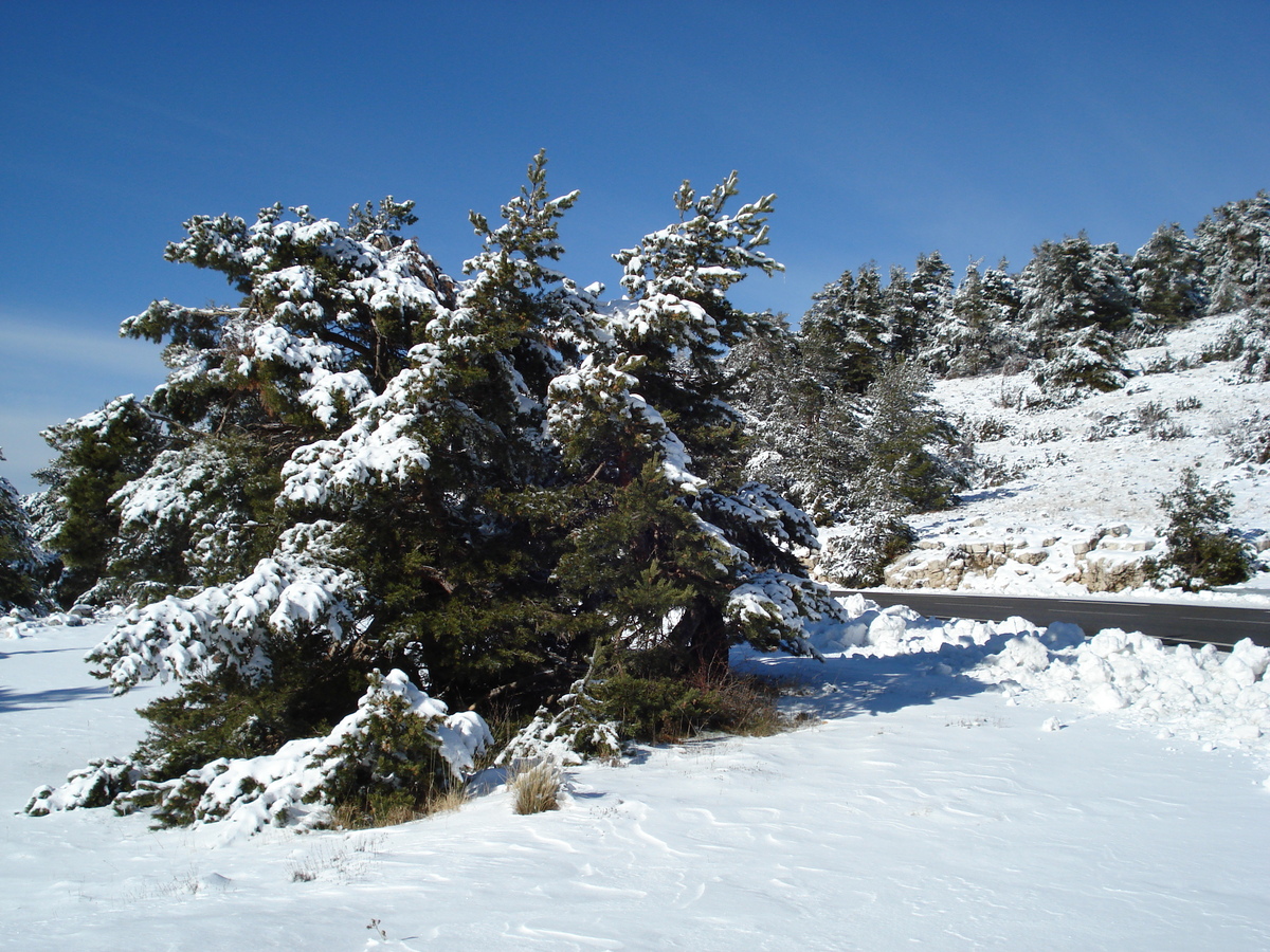 รูปถ่าย ฝรั่งเศส(France) เกรโอลีแยร(Greolieres les neiges) 2007-01 20