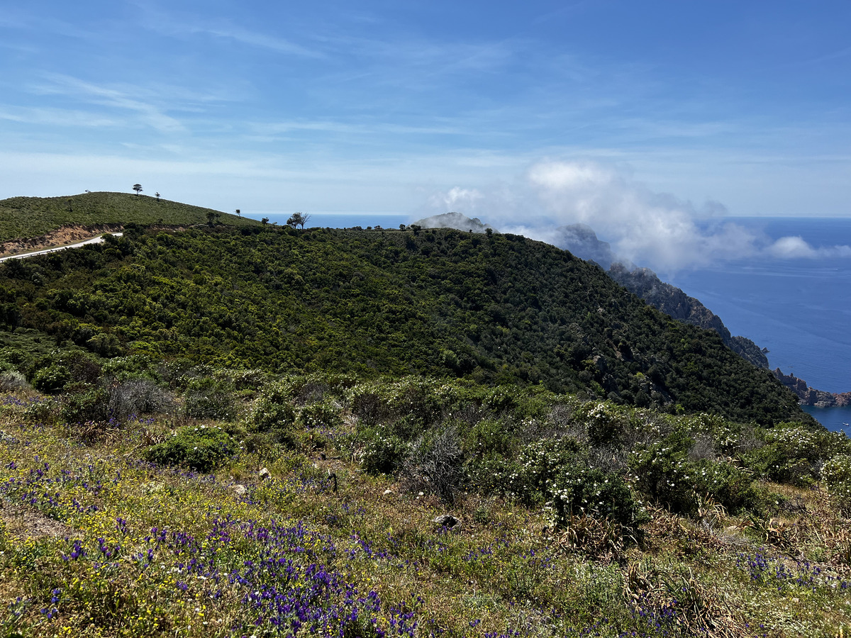 รูปถ่าย ฝรั่งเศส(France) คอร์สิคา(Corsica) แหลมกาโปรอสโซ(Capo Rosso) 2023-05 17