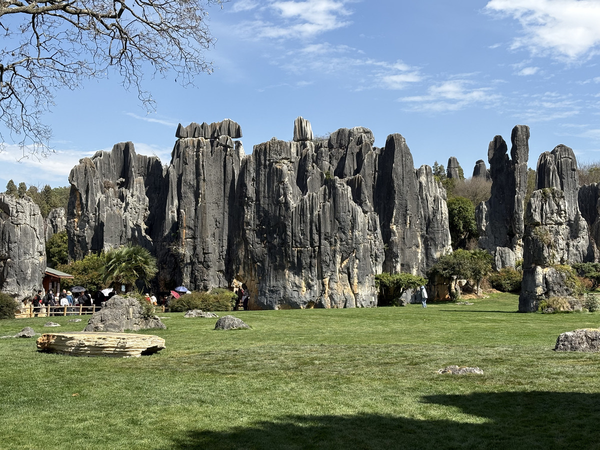 รูปถ่าย จีน(China) ป่าหินสือหลิน(Shilin Stone Forest) 2026-01 75