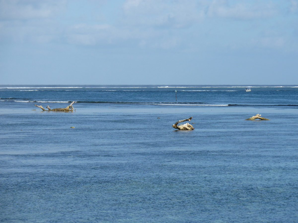 รูปถ่าย ฟิจิ(Fiji) รีสอร์ตแชงกรี-ลาฟิเจียน(Shangri La Fijian Resort) 2010-05 22